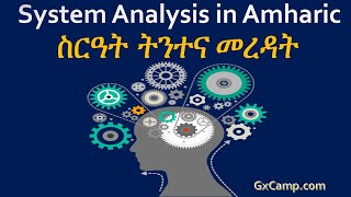 Software Development  & System Analysis in Amharic ስርዓት ትንተና መረዳት  #Computer_IT_training_in_Amharic