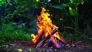 4K Cozy Campfire In the Forest — Relaxing Fireplace & Nature Sounds — Fire Crackling Sounds