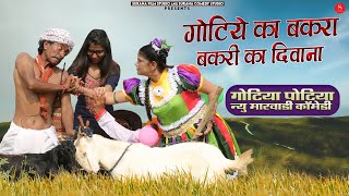 गोटिया पोटिया न्यू कॉमेडी 2022: गोटिये का बकरा बकरी का दिवाना | Gotiya Potiya Rajasthani Comedy