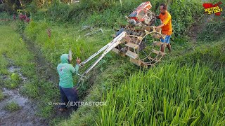 Traktor Sawah Masuk Lahan Lewati Jalan Yang Menyulitkan