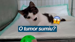 VLOCAT | TIVEMOS UMA RESPOSTA