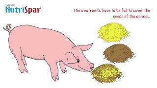 Vilofoss presents: NutriSpar - saves on feed