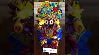 Jay Jagannath