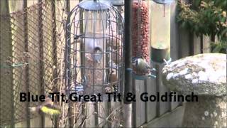 RSPB Garden Birdwatch 2012