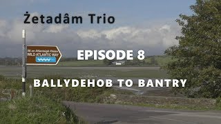 Zetadam Trio | Bantry