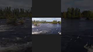 Arctic Grayling hookset at Scott Lake Lodge #shorts