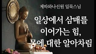 일상에서 삼매를 이어가는 힘, 몸에 대한 알아차림ㅣ일묵스님ㅣ제따와나선원 2024.04.24