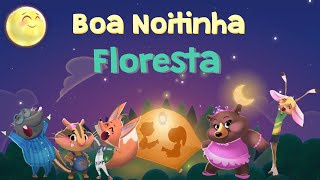 Boa Noitinha Floresta