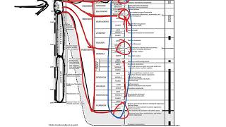 Geologic Timescale