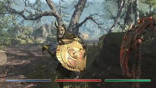 Elder Scrolls Blades: Porcupine Grove