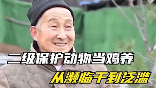 大爷把二级保护动物当鸡养，从濒危直接干到泛滥成灾