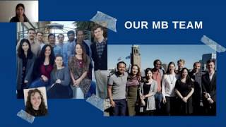 Mission and Vision of the Erasmus Mundus Association