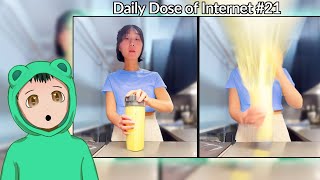 Reacting to Daily Dose of Internet #21! (She's Never Cooking Again)