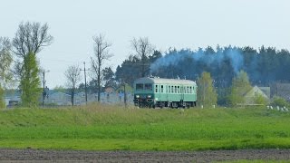 Parada parowozów i pociągi specjalne oraz SN61-168 na D29-371 ( Wolsztyn - Żagań)