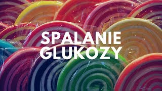 Spalanie glukozy | Korepetycje z biologii