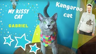 MY RUSSIAN BLUE CAT - Gabriel a funny kangaroo-cat