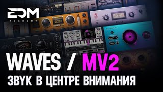 Waves MV2 - Звук в центре внимания 🔥