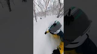 Japanese tree skiing. Niseko, Hokkaido