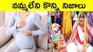 Interesting And Unknown Facts In Telugu|Egypt Facts|Indian Facts|CTC Facts