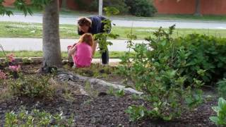 Magoo and Lillie planting flowers