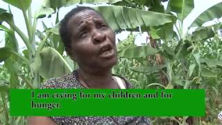 Farmers' voices from Tanzania