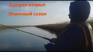 рыбалка на окуня весной днепр 2019