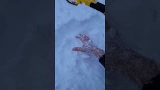 -40° my hand froze while I was digging the strange find...