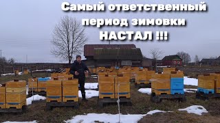 Самый ответственный период зимовки настал !!!