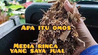 apa itu omos media ringan