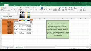 Excel Spreadsheet Formatting Basics