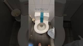 🇩🇪 Германия. Умный туалет 🚽 #guramiways