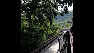 train ride through the mountains 🏞️ #shorts #travel #nature #poconos #appalachianmountains #trains