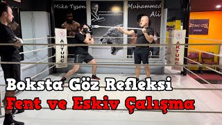 Boksta Göz Refleksi - Fent ve Eskiv Çalışma