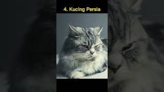 7 Ras Kucing Termahal di Dunia