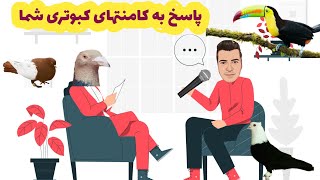 ساز بودن پر کبوتر / پاسخ به کامنتهای پر تکرار