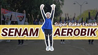 SENAM AEROBIK menurunkan berat badan ! super membakar lemak