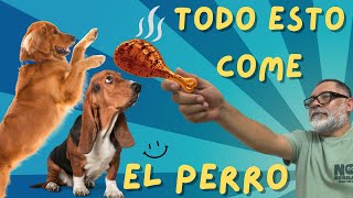 TODO ESTO pueden COMER los Perros TODOS LOS DÍAS | tips by Alex Santillana