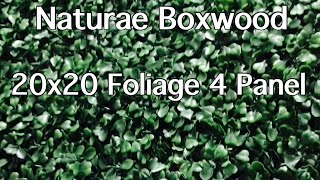 Lowes Naturae Boxwood 20x20 Foliage panel 4pc. Review (Saturday Savings)