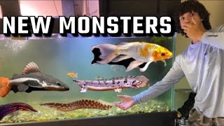 PICKING UP FUTURE MONSTERS for My MINI MONSTER TANK!?