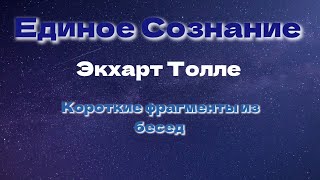 Единое Сознание. Короткие фрагменты бесед Экхарт Толле.