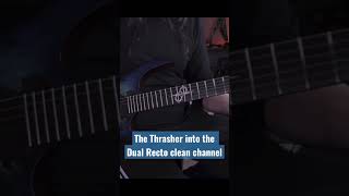 The Thrasher Pedal #metalguitarist #solarguitars #highgain #distortionpedal