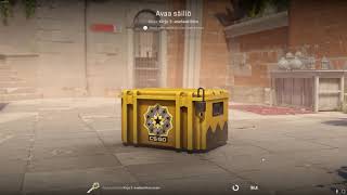 DAY 292 OPENING CS2 CASES UNTIL I GET GOLD!