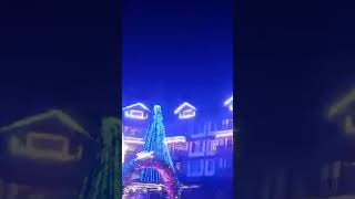 LIGHTS DANCING CHRISTMAS TREE #shorts #satisfying #asmr #shortsviral