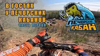 Печорский кабан 2024. Часть первая