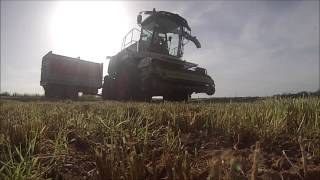 [ GoPro ] Ensilage d'herbe | Claas | Case IH/ Fendt | [720HD]