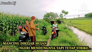 LAGI SERU MANCING DIKEJAR HUJAN // MANCING IKAN KETING