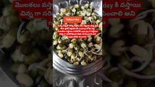 పెసలు గురించి మీకు తెలుసా?🤔/Andhra pesarattu reciepe/How to make pesarattu/molakalu