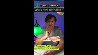 Разрушаем мифы: От чего зависит длина полового члена?