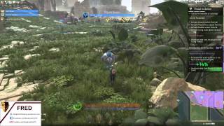 Skyforge First Instance, Paladin play