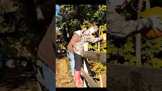 Slo Mo Smashing Pumpkins 15 ft Drop 2021 Halloween #shorts #halloween The Tom And Haley Show 4k